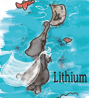Étiquette de la Lithium